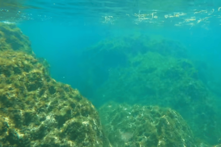 Baku: Snorkeling Tour at Gurgan Lighthouse