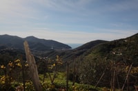 Lievàntu Wine Experience, Tour & tasting in Levanto Valley - Housity