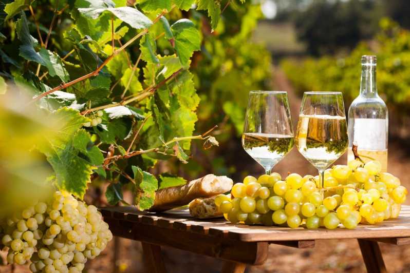 From Nice: Antibes & St Paul de Vence Tour with Wine Tasting