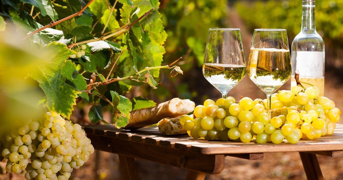 From Nice Antibes & St Paul de Vence Tour with Wine Tasting GetYourGuide