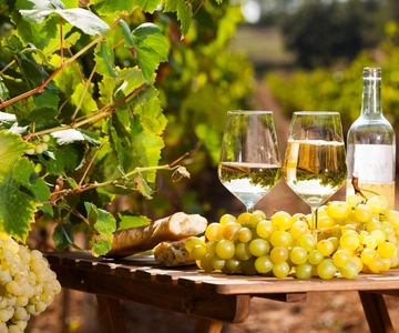 From Nice: Antibes & St Paul de Vence Tour with Wine Tasting