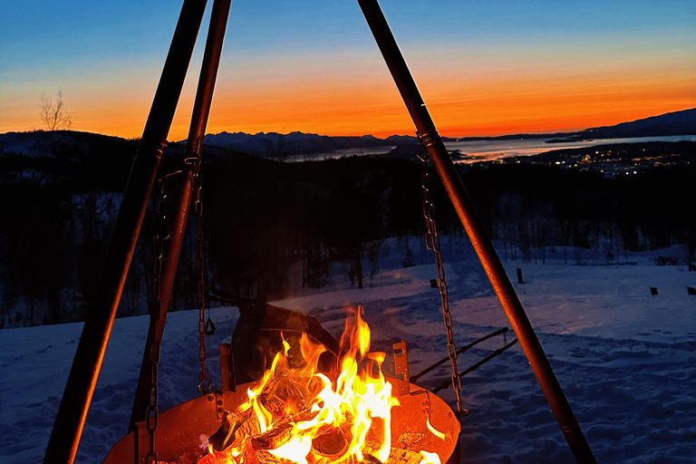 Nordkjosbotn: Dog Sledding and Puppy Visit from Tromsø