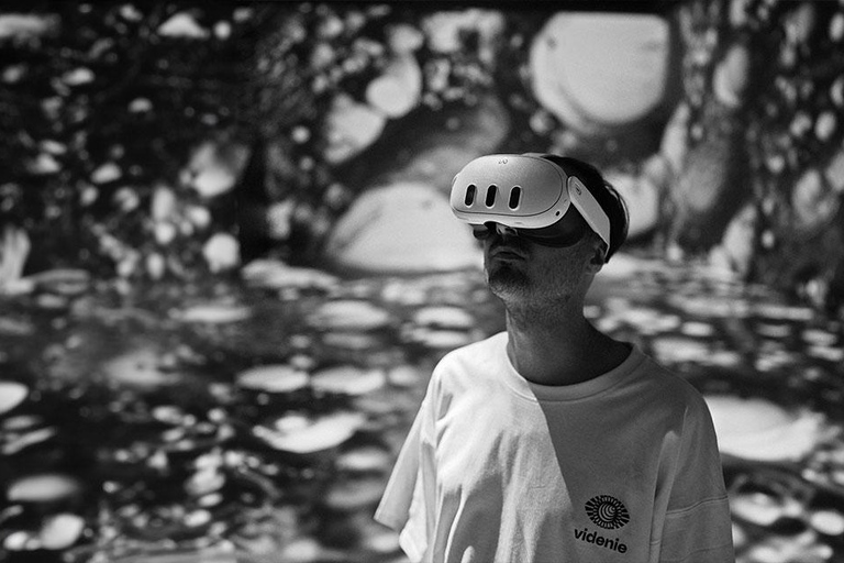 VIDENIE Immersive Art Space Entry Ticket