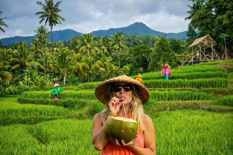 Bali: Shore Excursion Cruise Ship From Celukan Bawang Port Customize Your Own Itinerary (Not Include Entrance Tickets)