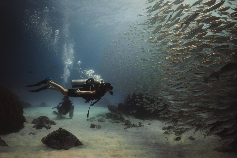 3 Fun Dives for Certified King Cruiser wreck and Koh Dok Mai