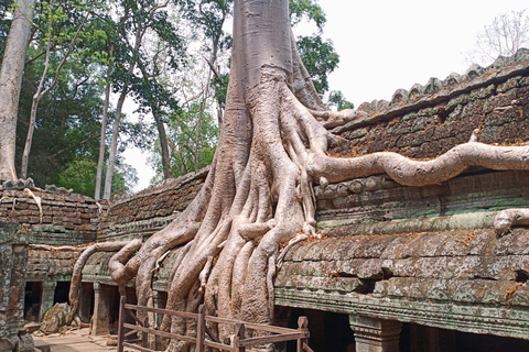 Gedeelde reis van één dag naar de Angkor tempels