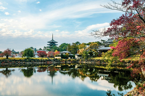 Nara Tour privado de día completo con guía culinario