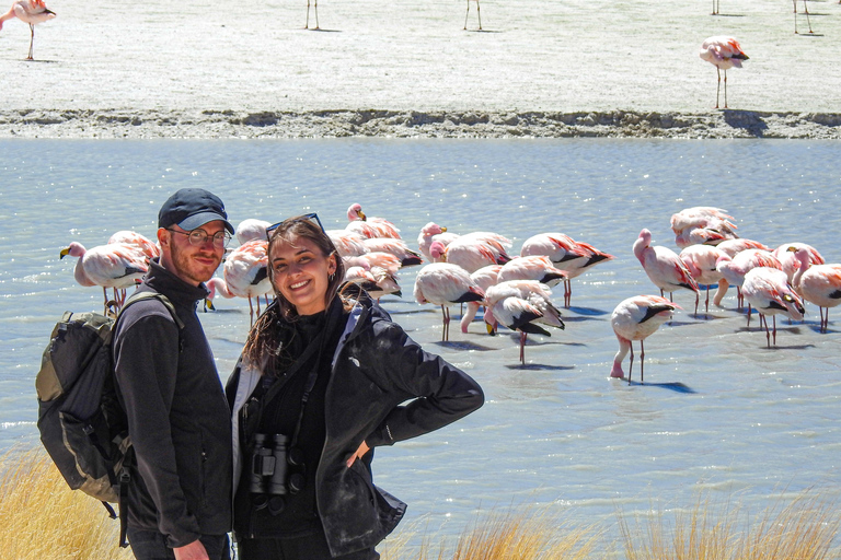 Uyuni: 3-Day Salt Flats, Lagoons, and Geysers Tour ENGLISH-SPEAKING GUIDE