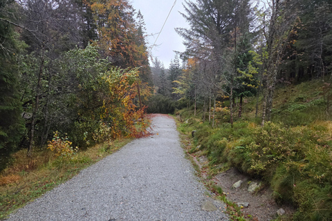 Bergen: Hike & Explore the area of Mount Fløyen