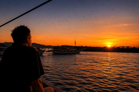 Labuan Bajo: Komodo Tour by Speedboat & Wooden Boat