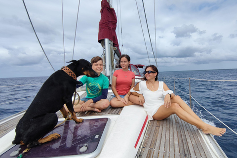 Saona Island: Private Yacht Tour with Lunch & Pickup