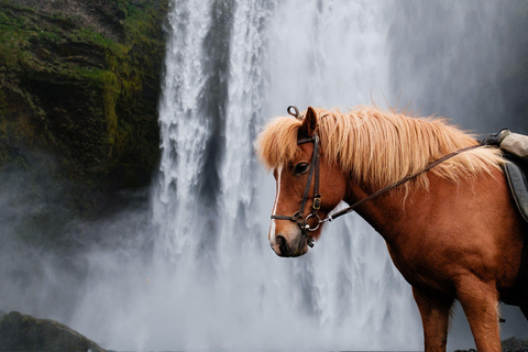 Stepantsminda: Alpine Valley Horseback Tour
