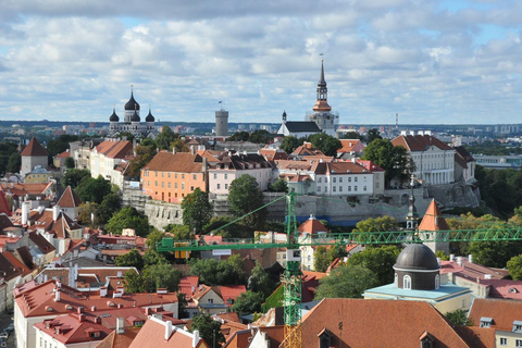 Individual excursion in Tallinn