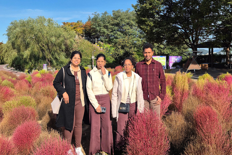 Seoul: Hidden Autumn Foliage, Cafe Pokpo, Nami Island & More D. Autum Foliage & Cafe POKPO & Eunpyeong Hanok& Haneul Park