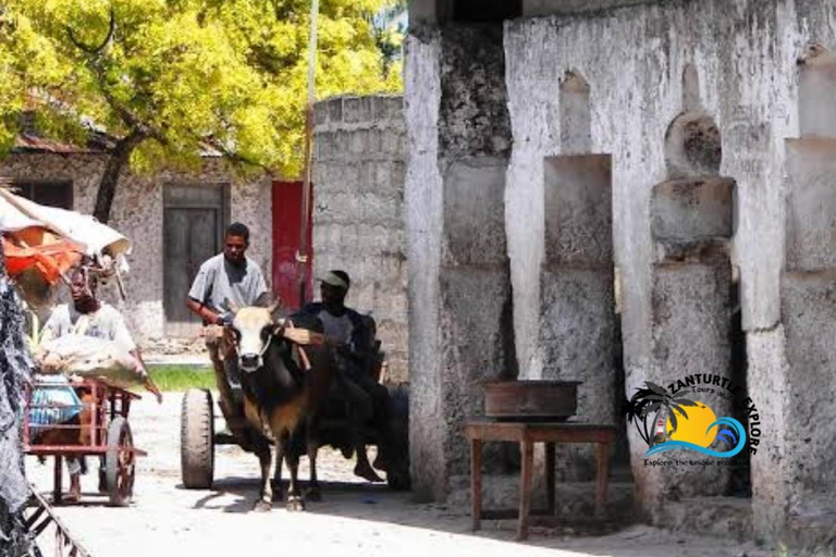 Zanzíbar: pueblo de Nungwi, bosque de Jozani y tour The RockZanzíbar: pueblo de Nungwi, bosque de Jozani y excursión a The Rock
