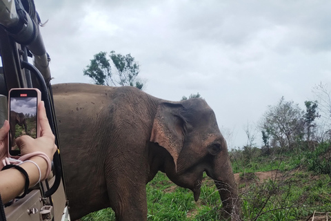 Negombo: Jednodniowa wycieczka; Dambulla, safari na słoniach i wioska