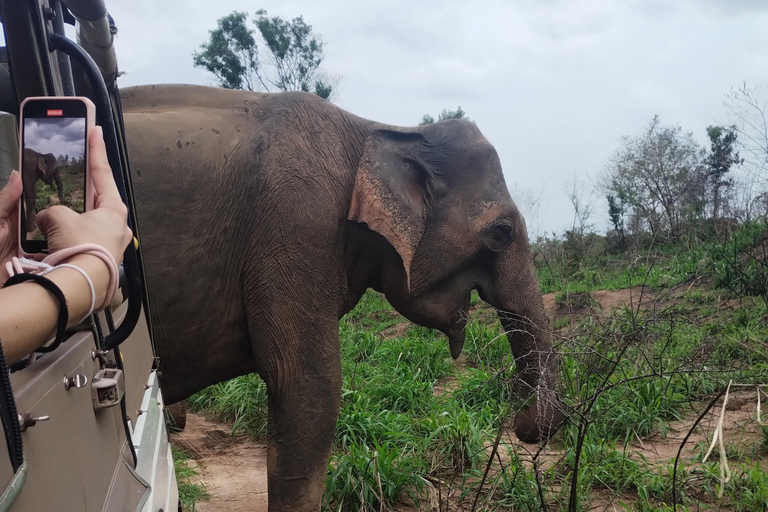 Negombo: Jednodniowa wycieczka; Dambulla, safari na słoniach i wioska