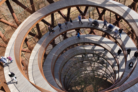 Møns Klint: Forest Tower, Møns Klint, and Fossil Hunt Tour UNESCO Møns Klint and Forest Tower Tour
