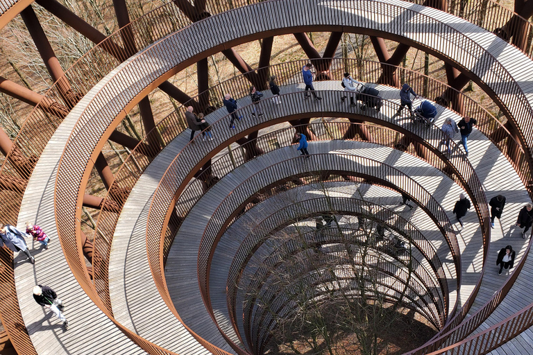Møns Klint: Forest Tower, Møns Klint, and Fossil Hunt Tour UNESCO Møns Klint and Forest Tower Tour
