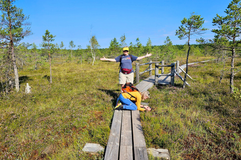 Great Ķemeri Bog & Swamp Forest Hiking Adventure Shared group tour