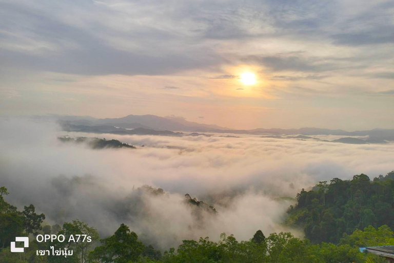 Khao Lak: Mare di nebbia sulla collina e alba a Khao Khai Nui