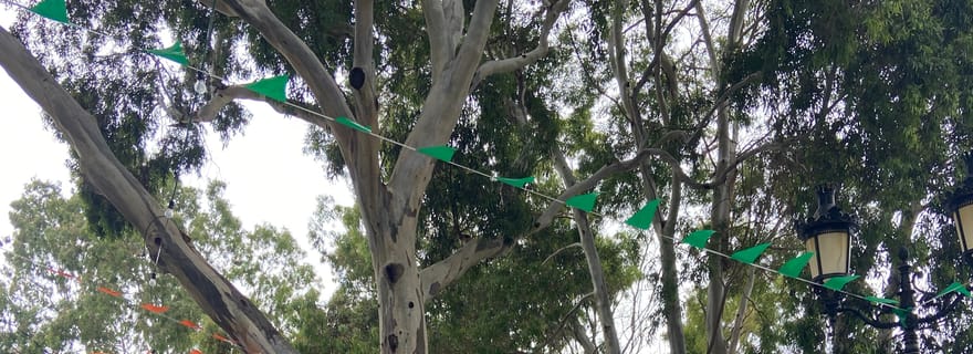 Haria : visite guidée à pied de la ville natale de César Manrique