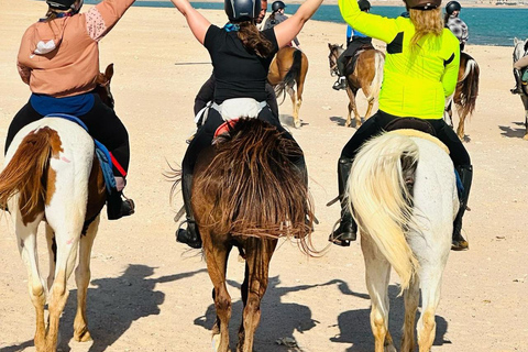 الغردقة: جولة ركوب الخيل في الصحراء والبحر مع خيار السباحةجولة لمدة ساعتين لركوب الخيل بدون السباح