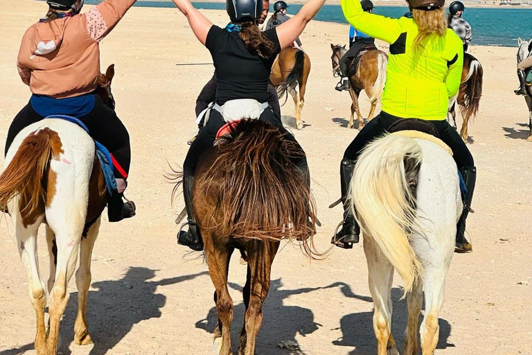 الغردقة: جولة ركوب الخيل في الصحراء والبحر مع خيار السباحةجولة لمدة ساعتين لركوب الخيل بدون السباح
