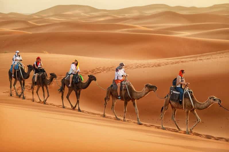 Circuit de 6 jours dans le désert de Marrakech à Tanger - dromadaire