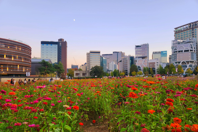 Seoul: Tour privato personalizzato con una guida locale