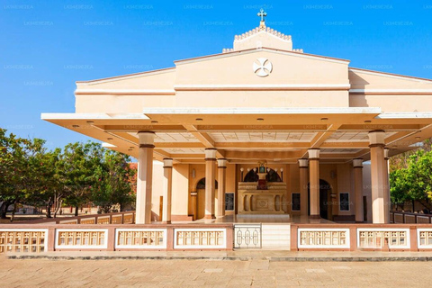 SriLanka: Kalpitiya Day Tour with Airport Transfer