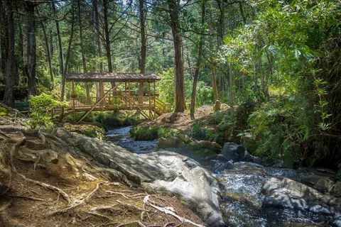 Medellin: Arvi Park, svævebane og vandfaldstur