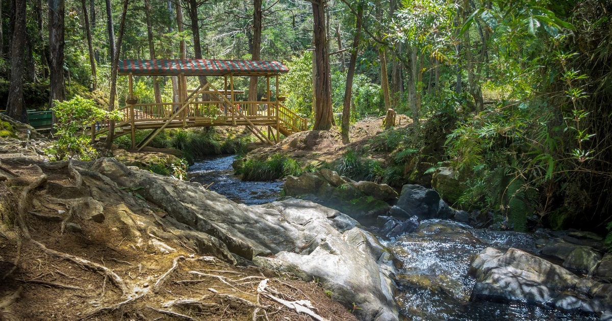 Medellin Arvi Park, Cable Car & Waterfalls Tour GetYourGuide