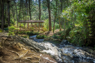 Parc d'Arvi: Excursions à la journée depuis Medellín