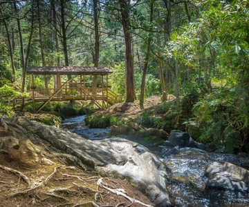 Медельин: Экскурсия в парк Арви, канатная дорога и водные потоки