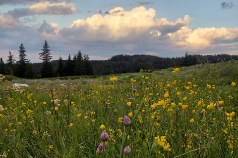 Sofia from above: Vitosha Mountain Private Hike