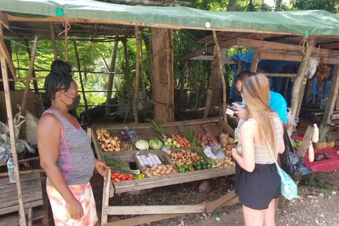 Cultural tour of Montego Bay & Jamaica Highlight and shop.