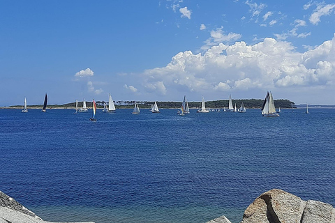 Punta del Este: City Highlights and Hidden Gems Guided Tour