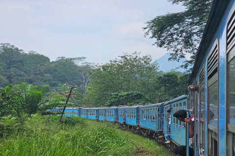 Kandy: Temple of Tooth, Train Ride, & Cave Waterfall Tour