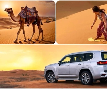 Doha: ATV, Quad/Buggy Dune Bashing, Cammellata, Sandboarding