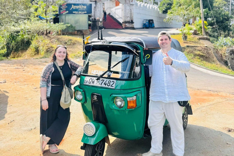 Kandy: Guided City Tour/Temple of the Tooth & Tea Factory