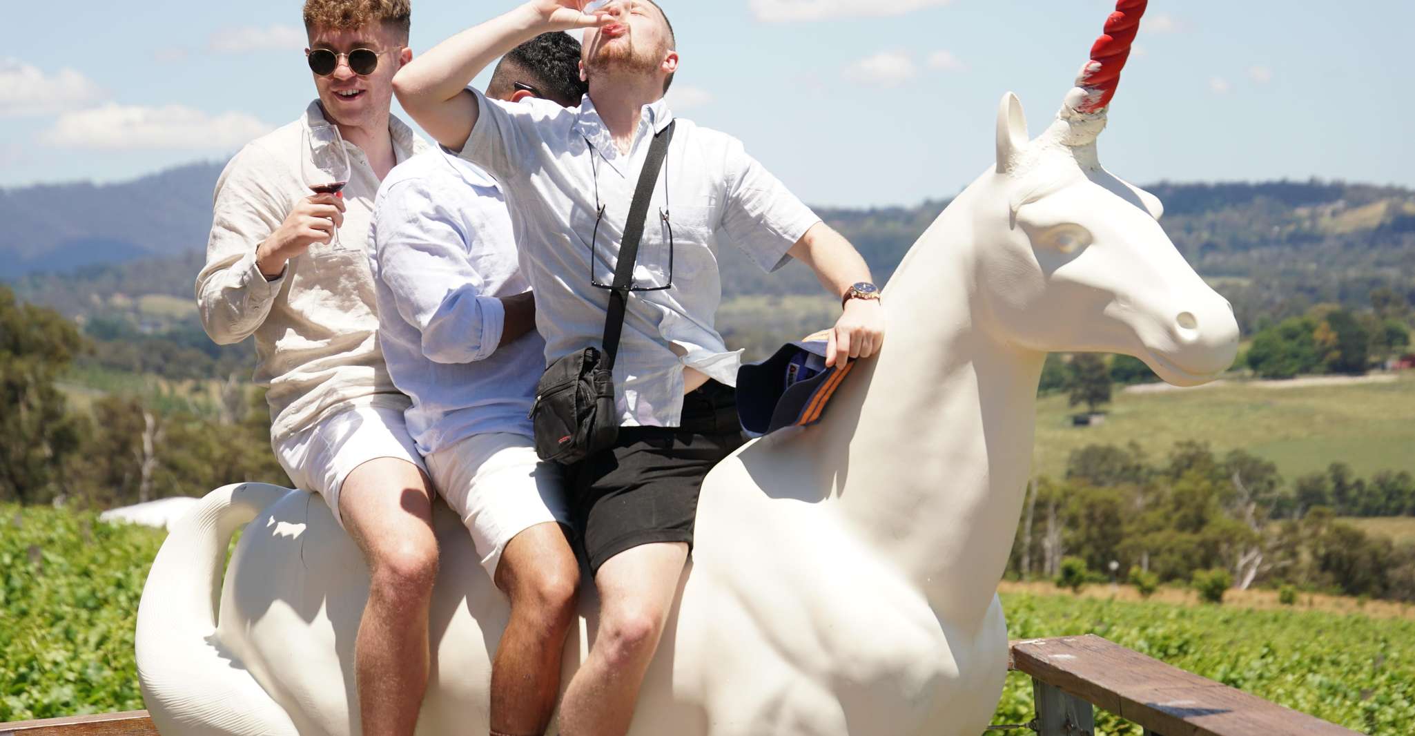 Melbourne: Yarra Valley Wine, Cider, Gin, Beer, & Choc Tour photo 15