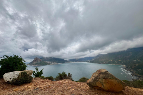 Cape Town: Chapman’s Peak Drive Private Scenic Tour
