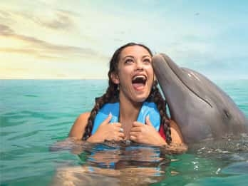 Puerto Aventuras: Interacción con delfines y manatíes con almuerzo