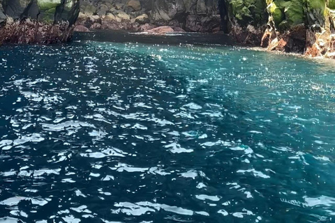 圣米格尔岛：火山奇观、洞穴与历史游船之旅