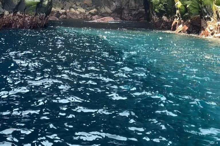 圣米格尔岛：火山奇观、洞穴与历史游船之旅