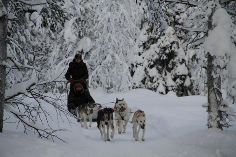 Levi: Guide-driven Husky Safari