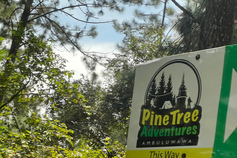 Colombo to Ambuluwawa Tower Private Day Trip 12 Hours