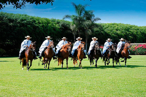 Desde Trujillo: Espectáculo Caballo de Paso y Marinera + Almuerzo Incluido