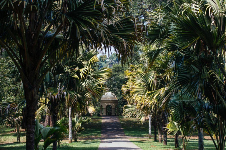 Colombo: Kandy Day Tour, Temple of the Tooth, Tea Factory Mirissa, Hiriketiya pick up area
